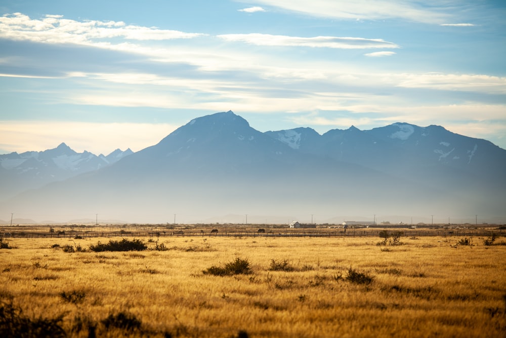 a grassy field with mountains in the background