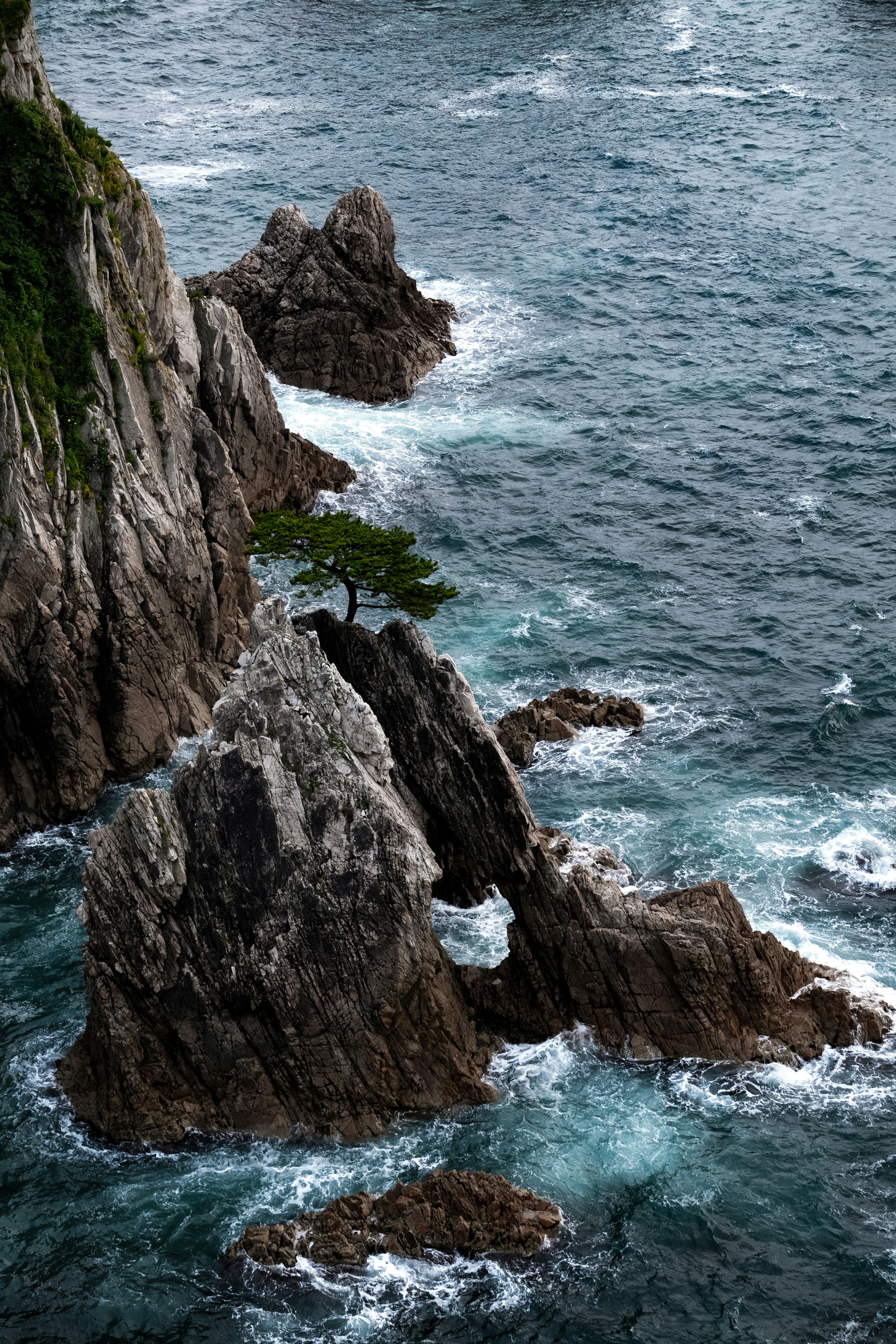 Photo by bubgraphics