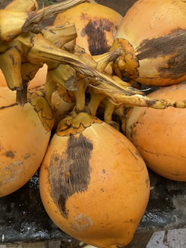 Several orange coconuts with patches of brown husk are clustered together, showing textured surfaces and fibrous stems.