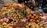 A vibrant display of assorted fresh Egyptian fruits in a sunlit market.