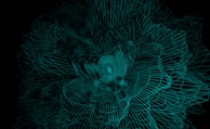 A complex, dynamic structure of interconnected turquoise wireframes forms a swirling pattern on a black background. The lines create a hypnotic, three-dimensional effect as they converge towards the center.