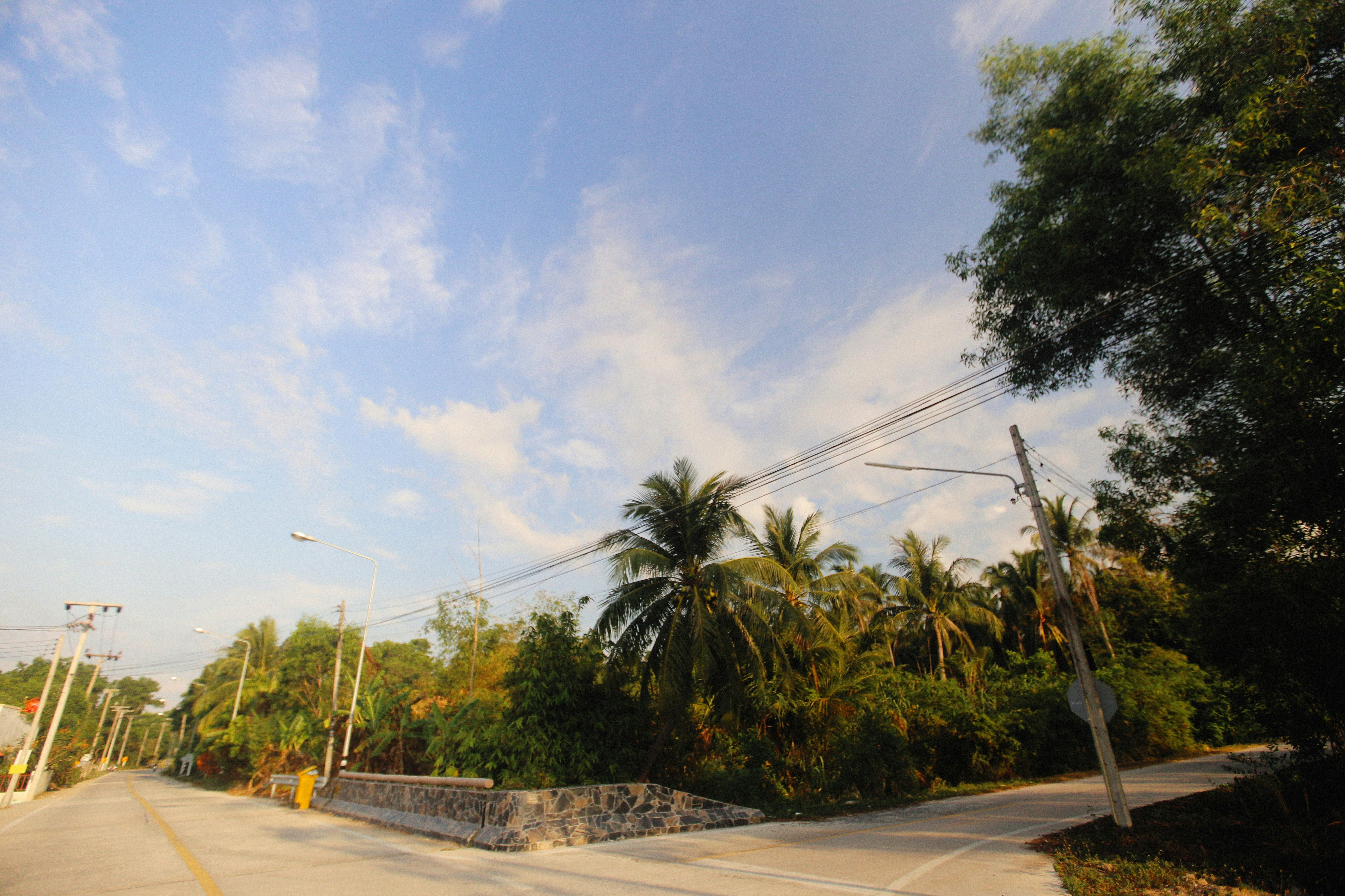 Photo by alexeydemidov