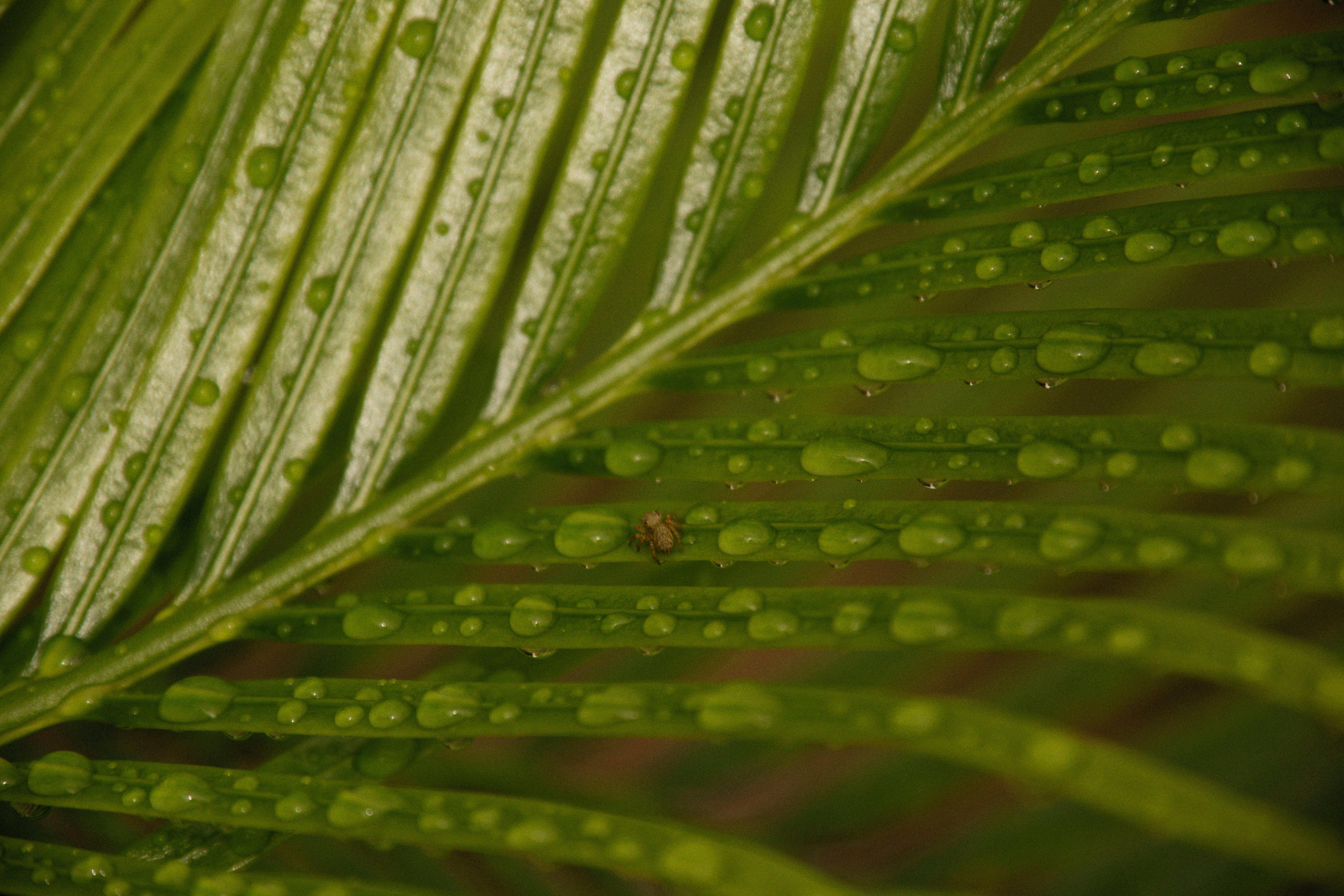 Photo by alexeydemidov