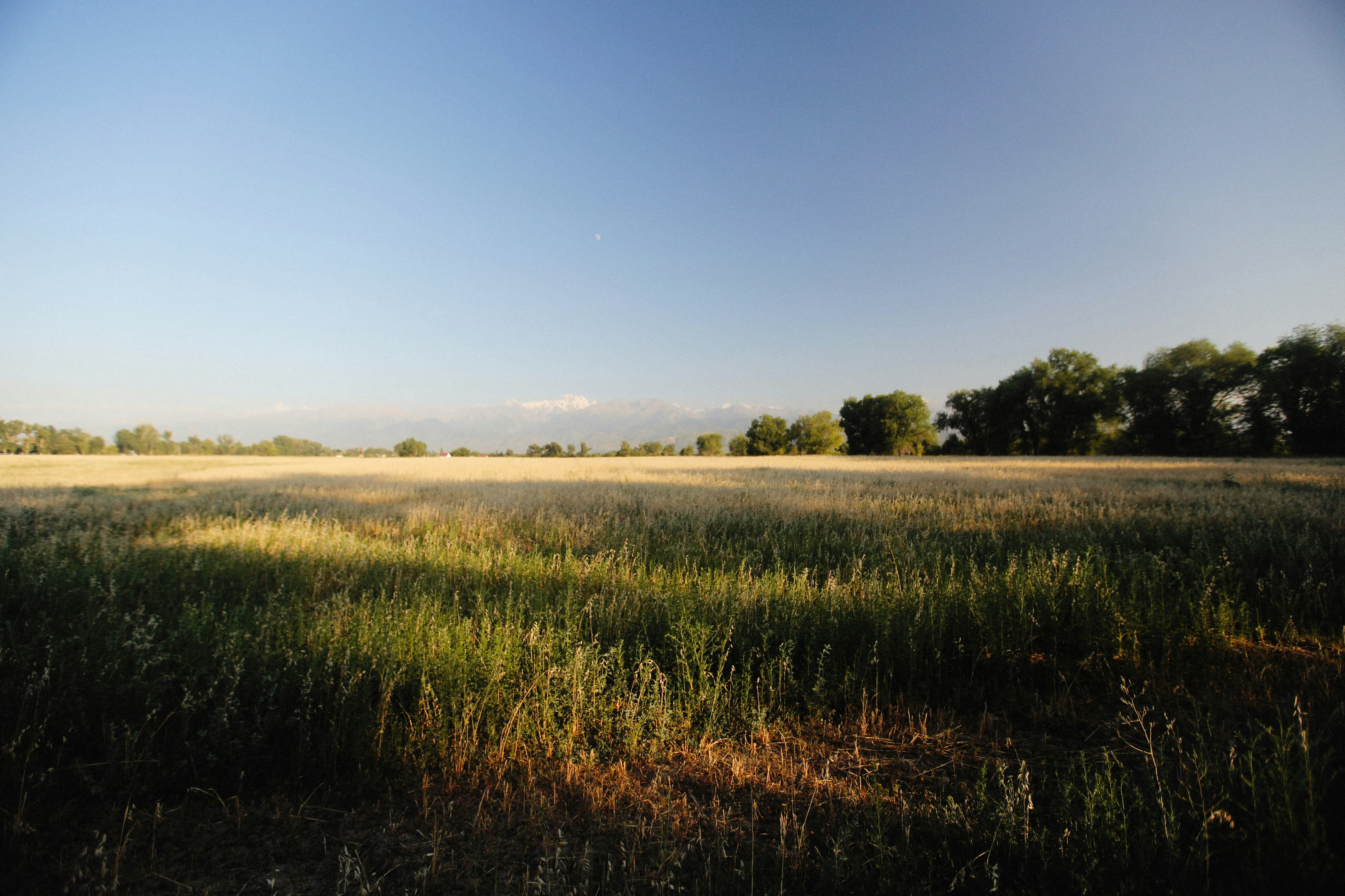 Photo by alexeydemidov