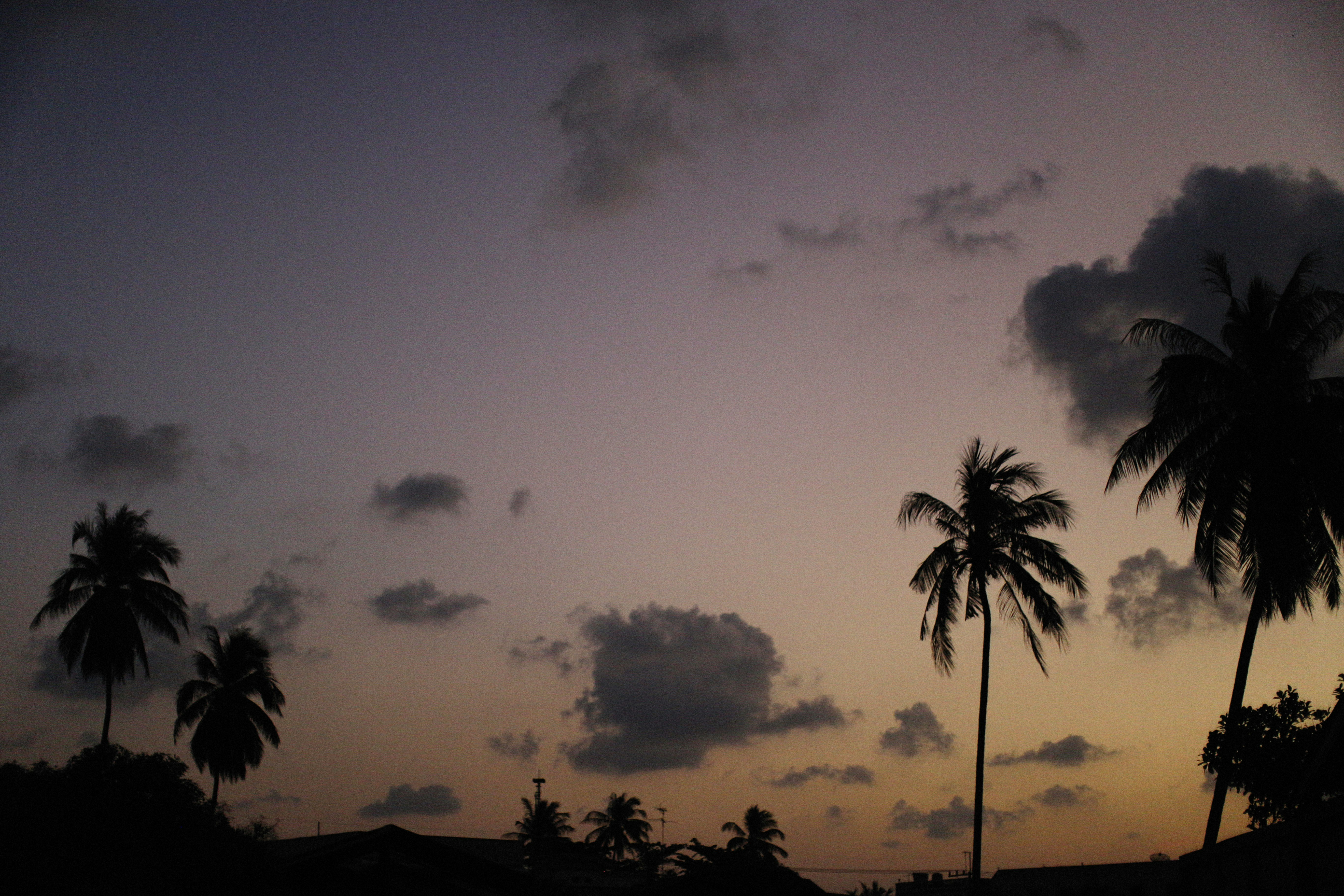 Photo by alexeydemidov