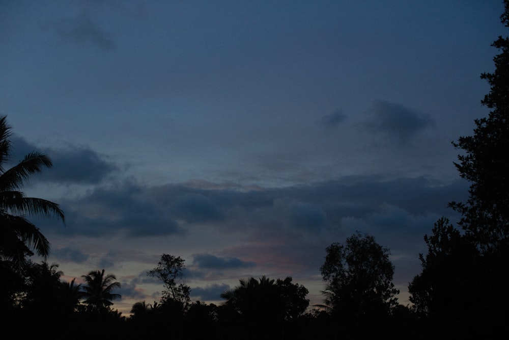 a dark sky with clouds and trees in the foreground
