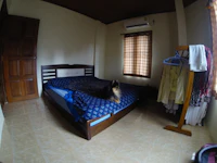 Best Budget Hostels in Sukhothai That Are Actually Worth Staying In