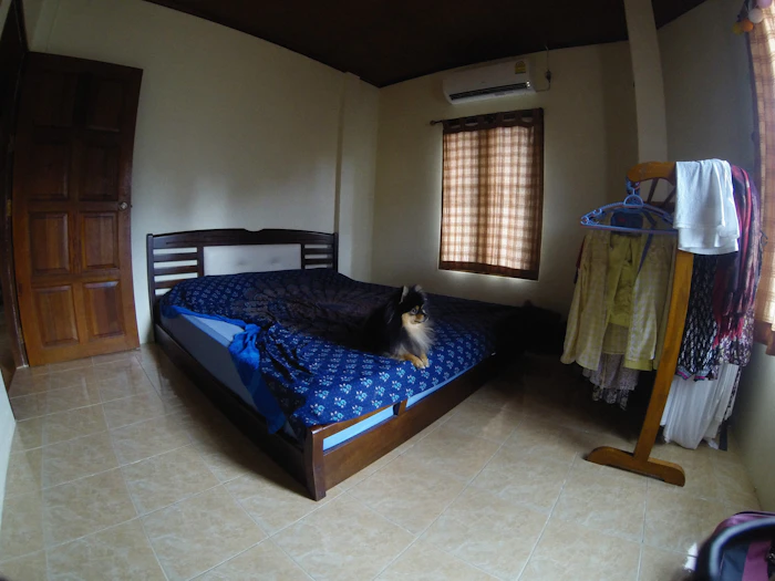 Best Budget Hostels