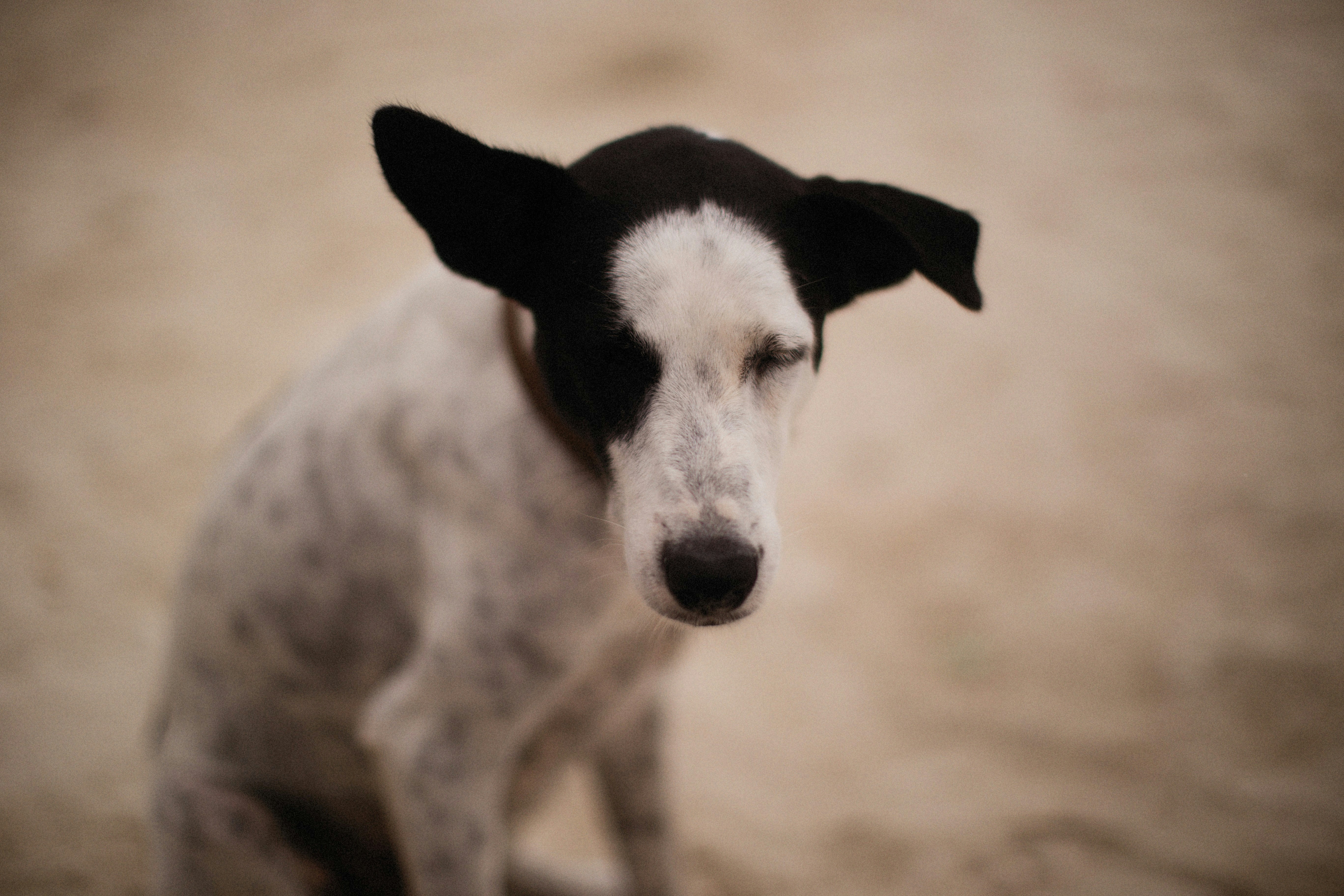 Photo by alexeydemidov