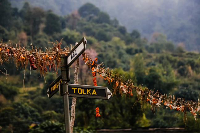 Luxury Bandipur Itinerary: 5 Days of Himalayan Heritage