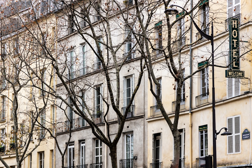 a tree with no leaves in front of a hotel