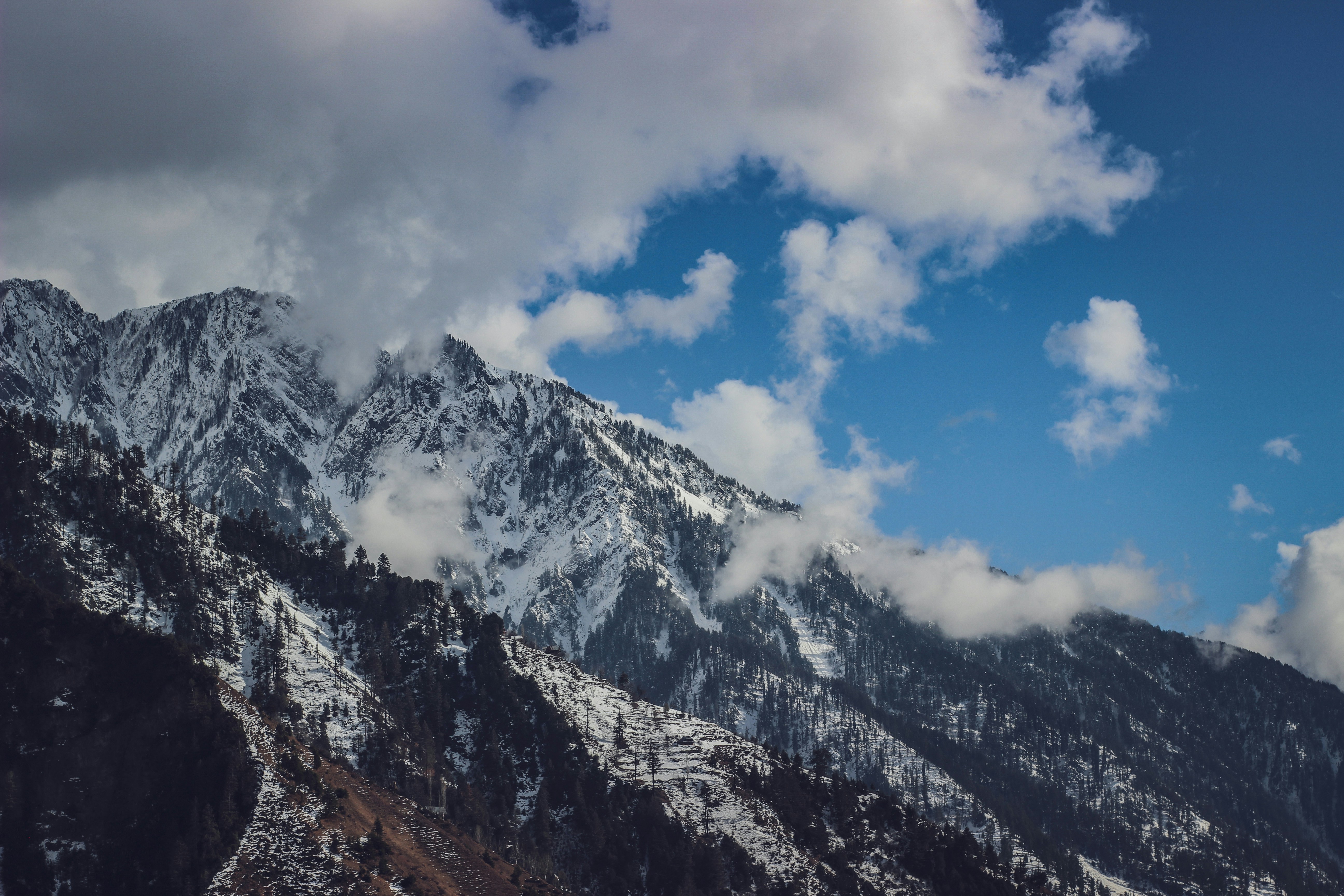 Photo by pershotammalhi