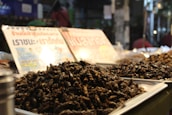 A market stall displaying trays filled with a variety of fried insects. In the background, there are signs with text in a non-Latin script, possibly indicating prices or descriptions of the food items. The setting appears to be a night market with a bustling atmosphere.