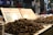A market stall displaying trays filled with a variety of fried insects. In the background, there are signs with text in a non-Latin script, possibly indicating prices or descriptions of the food items. The setting appears to be a night market with a bustling atmosphere.