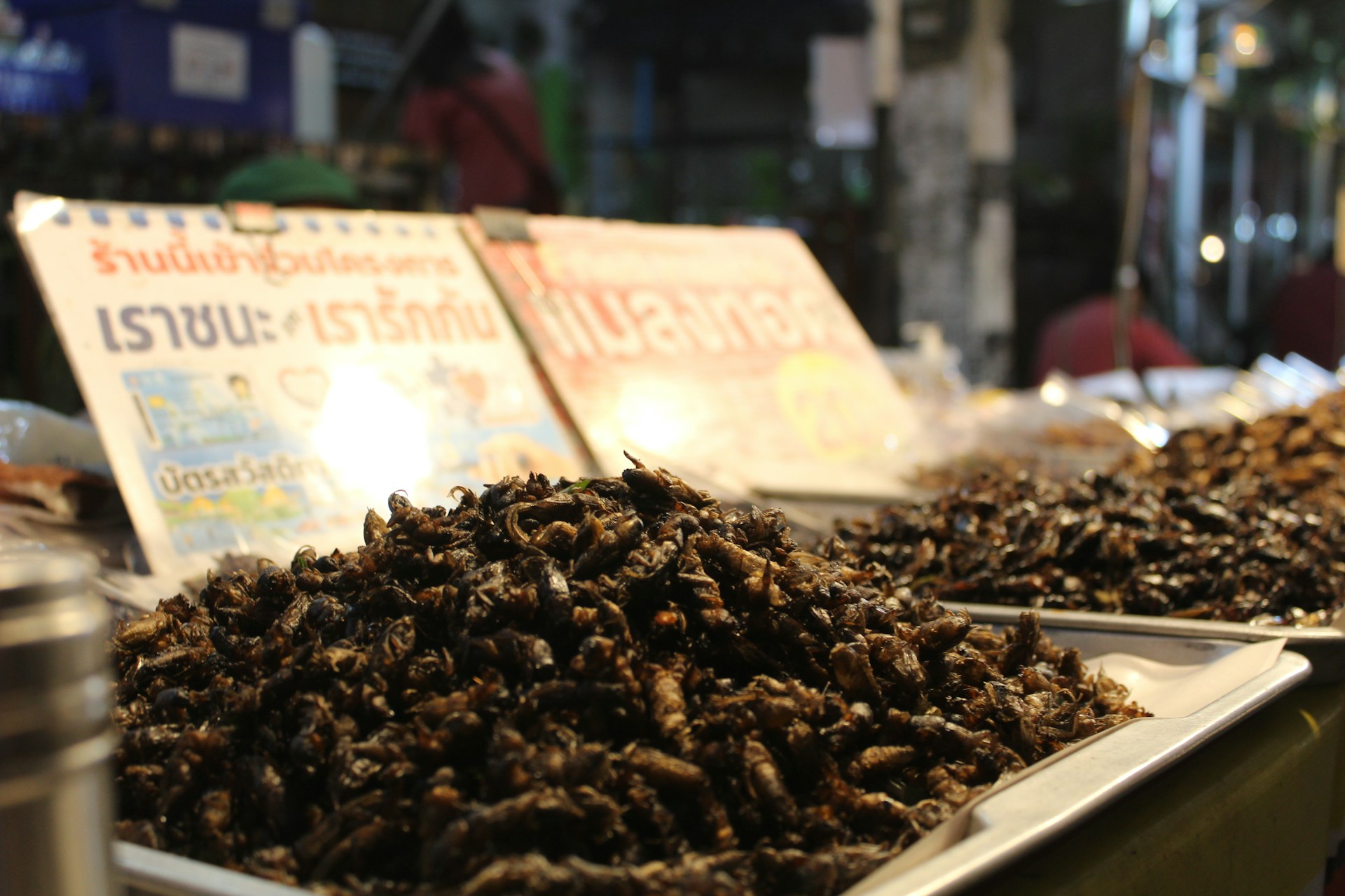 A market stall displaying trays filled with a variety of fried insects. In the background, there are signs with text in a non-Latin script, possibly indicating prices or descriptions of the food items. The setting appears to be a night market with a bustling atmosphere.