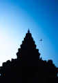 a silhouette of a building with a bird flying over it