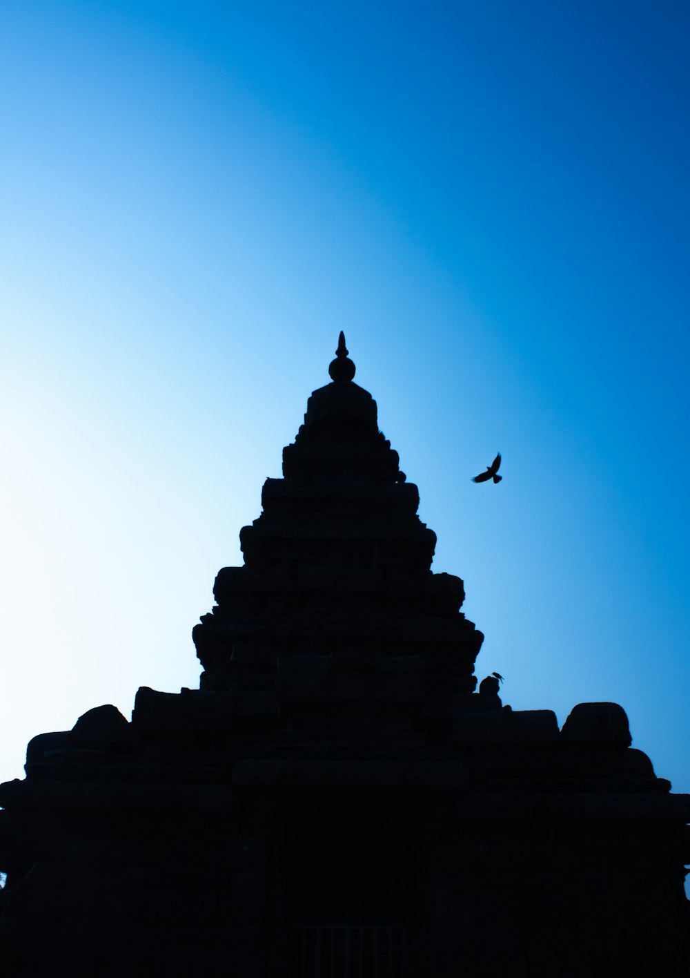 a silhouette of a building with a bird flying over it