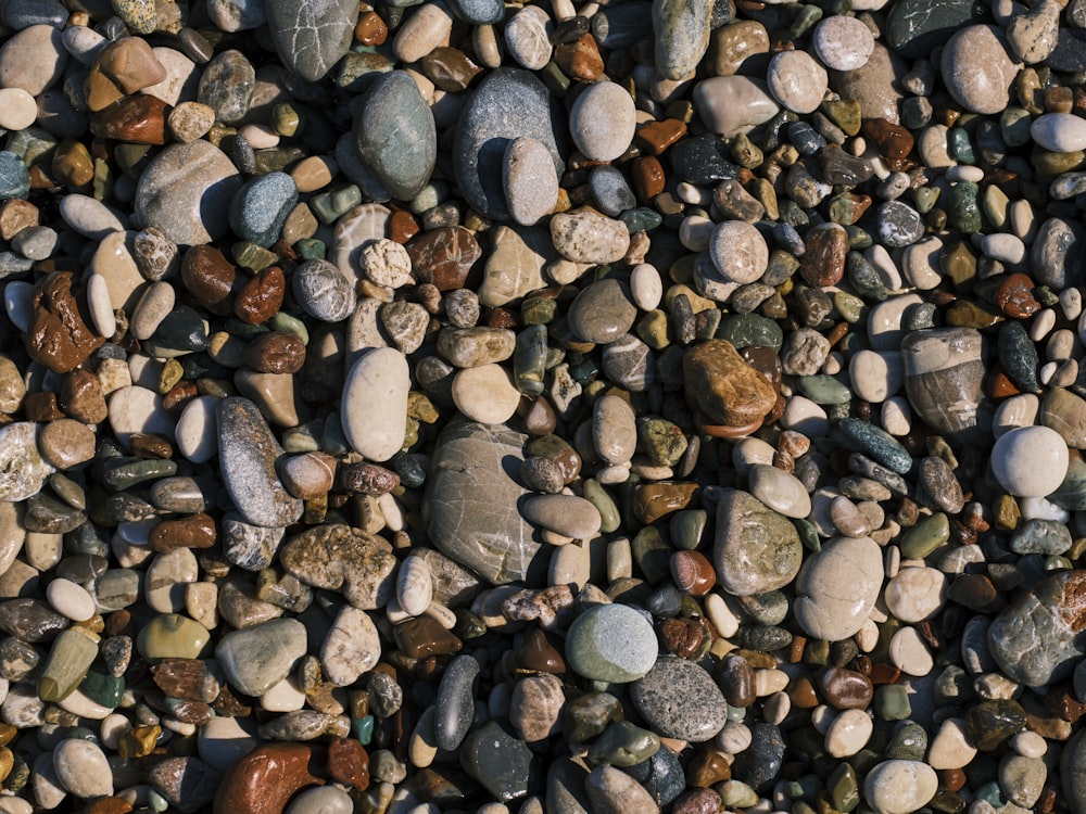 a bunch of rocks that are on the ground