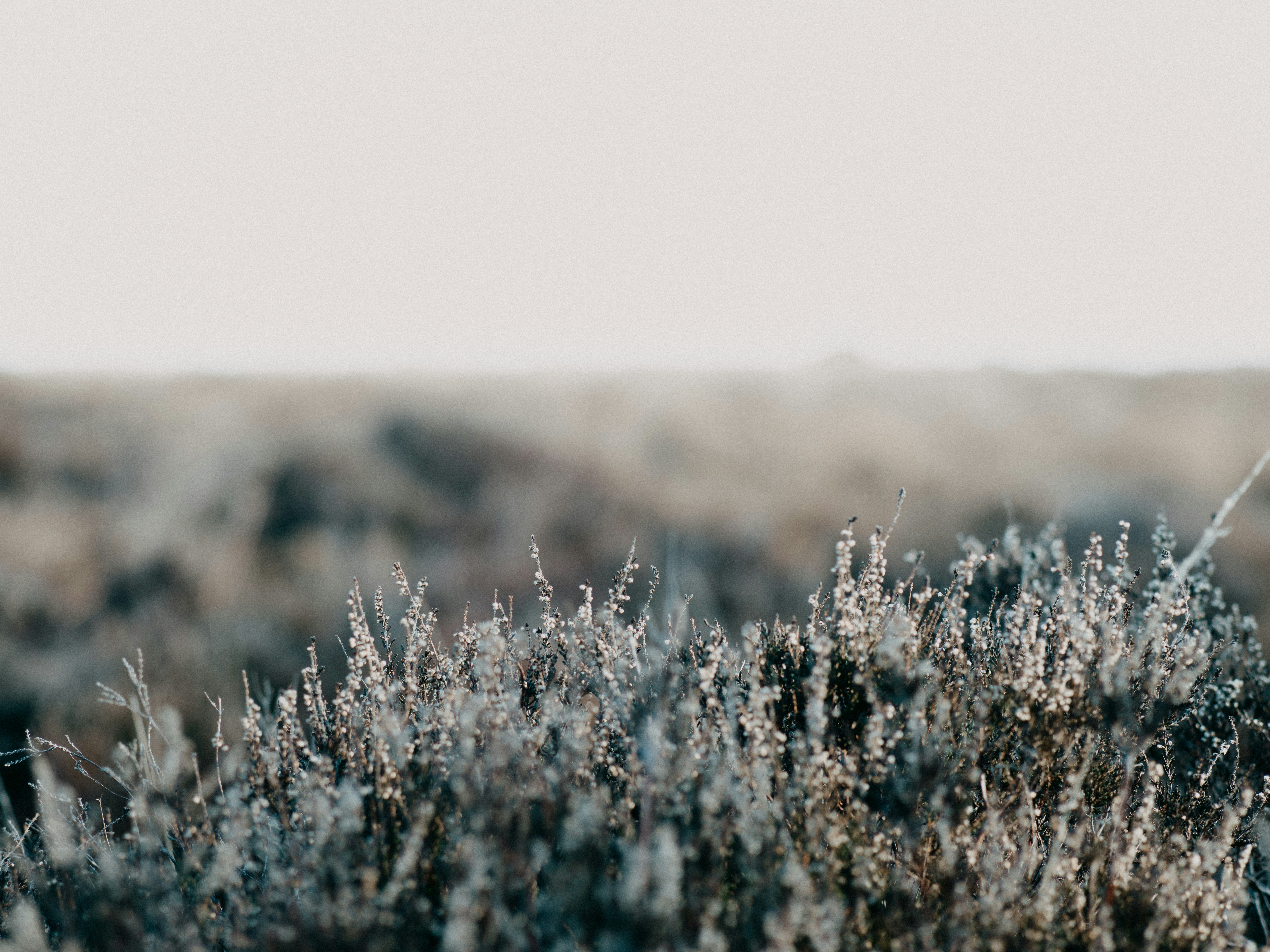 Photo by anniespratt