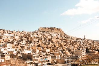 a very large city with a very tall hill in the background