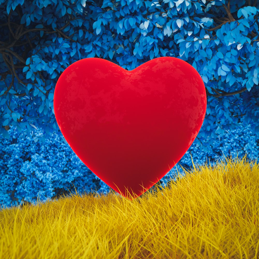 A large red heart sitting in the middle of a field photo – Free ...