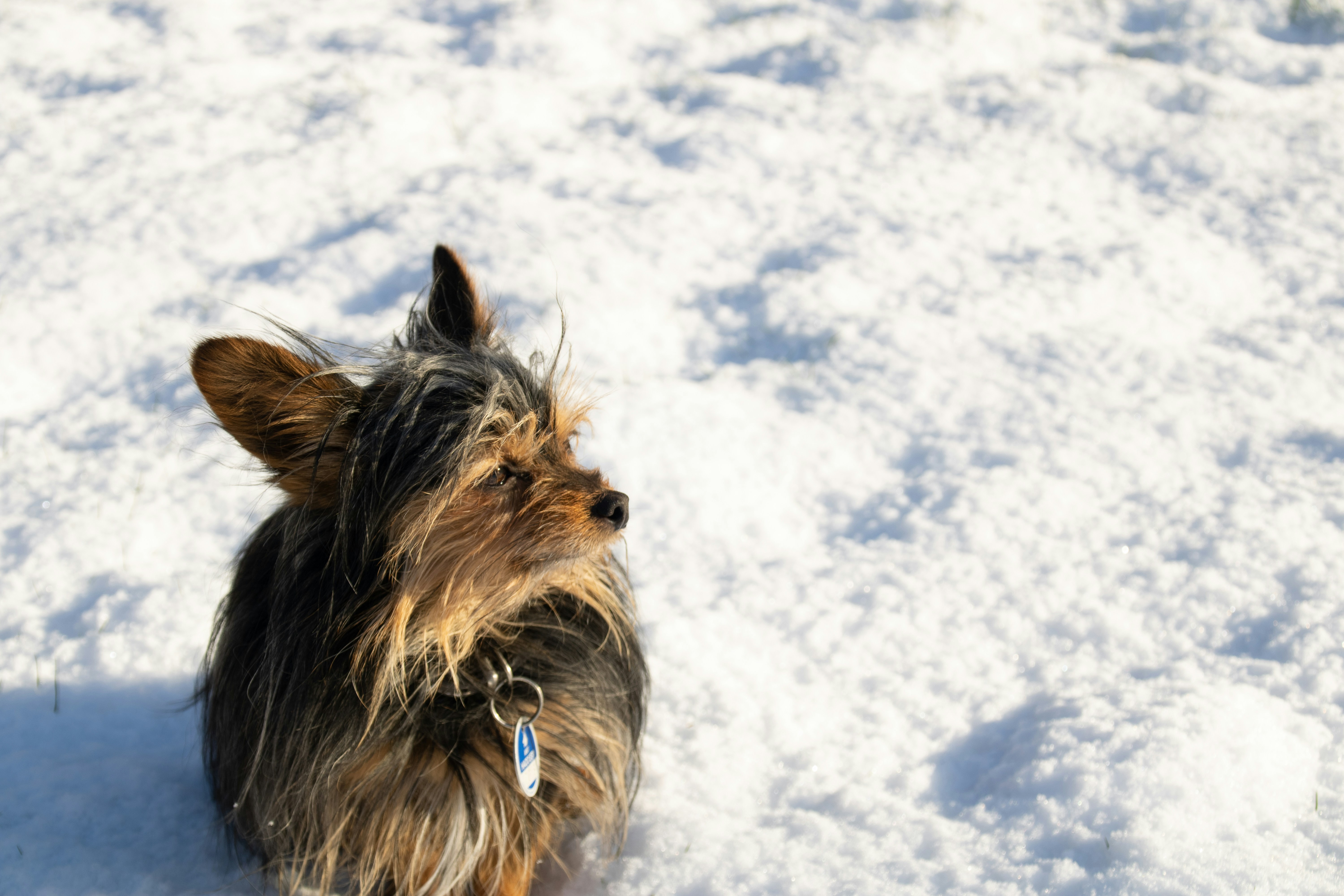 Photo by mirkofabian