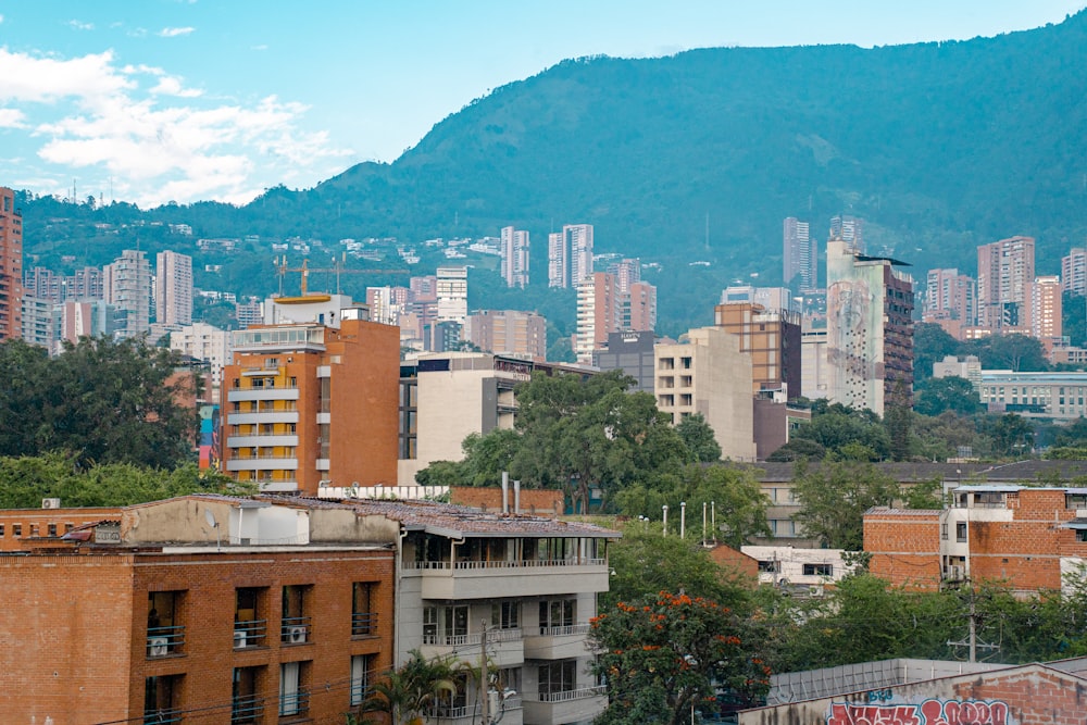 a view of a city with mountains in the background