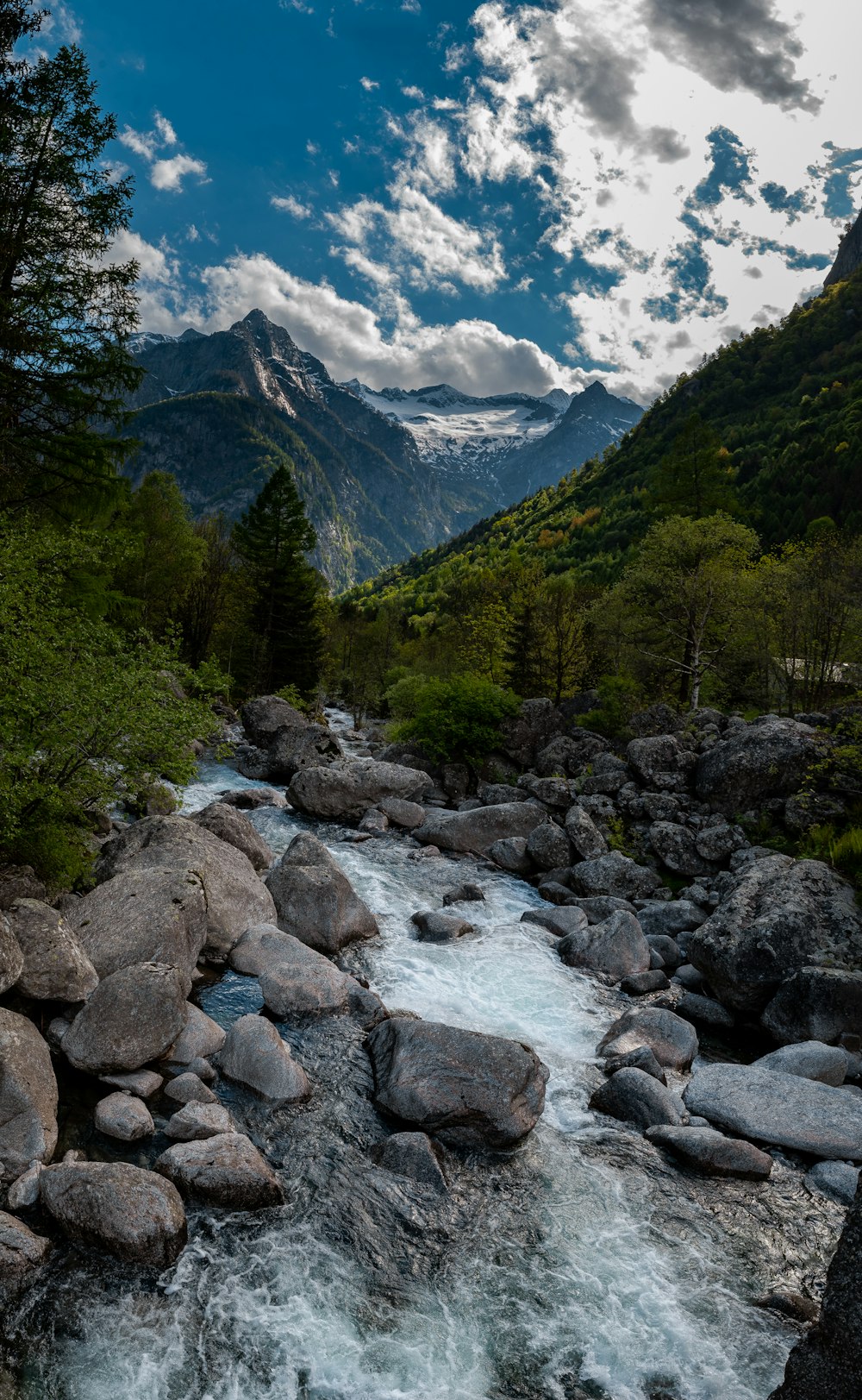 a river running through a lush green forest