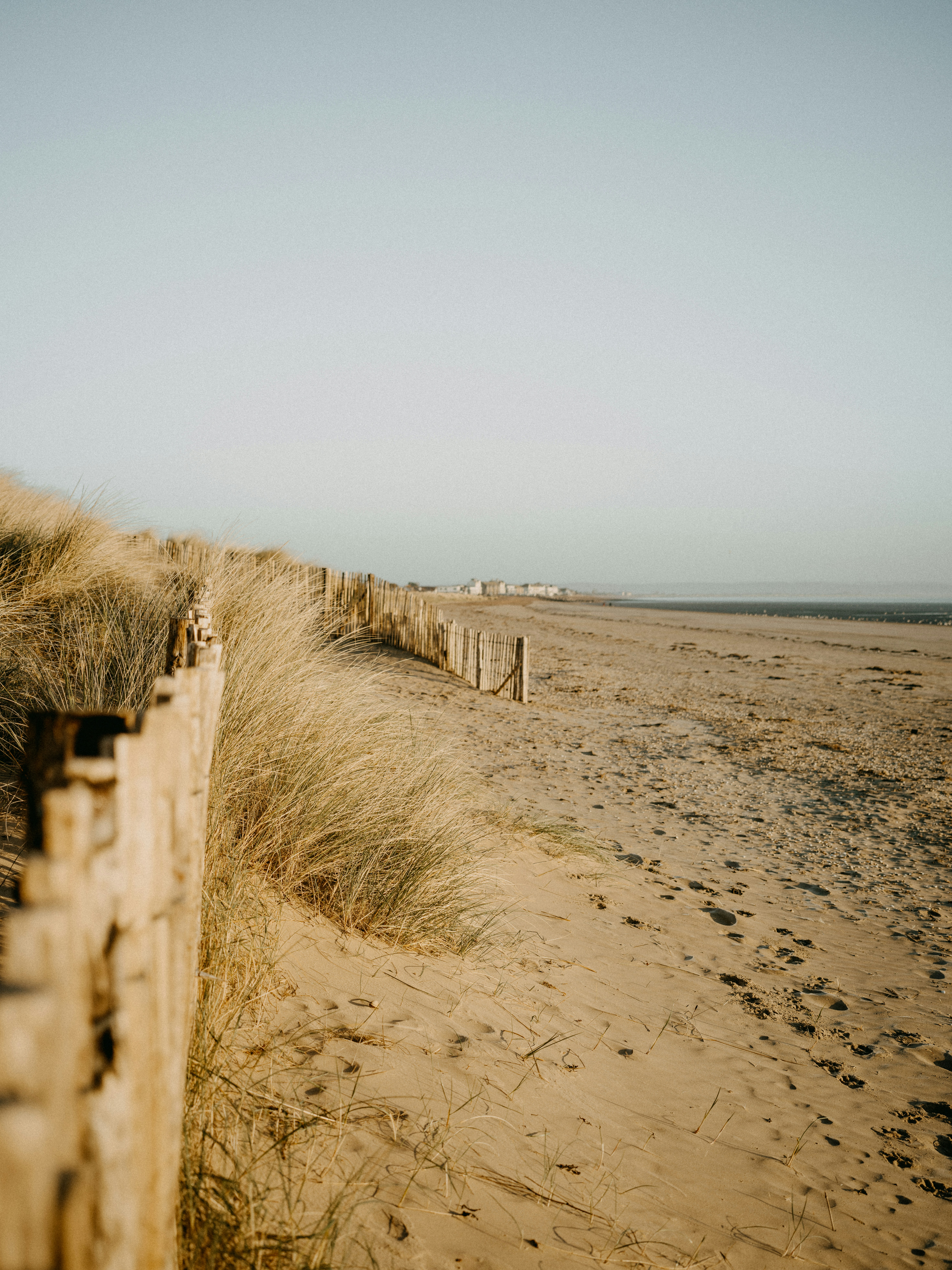 Photo by anniespratt