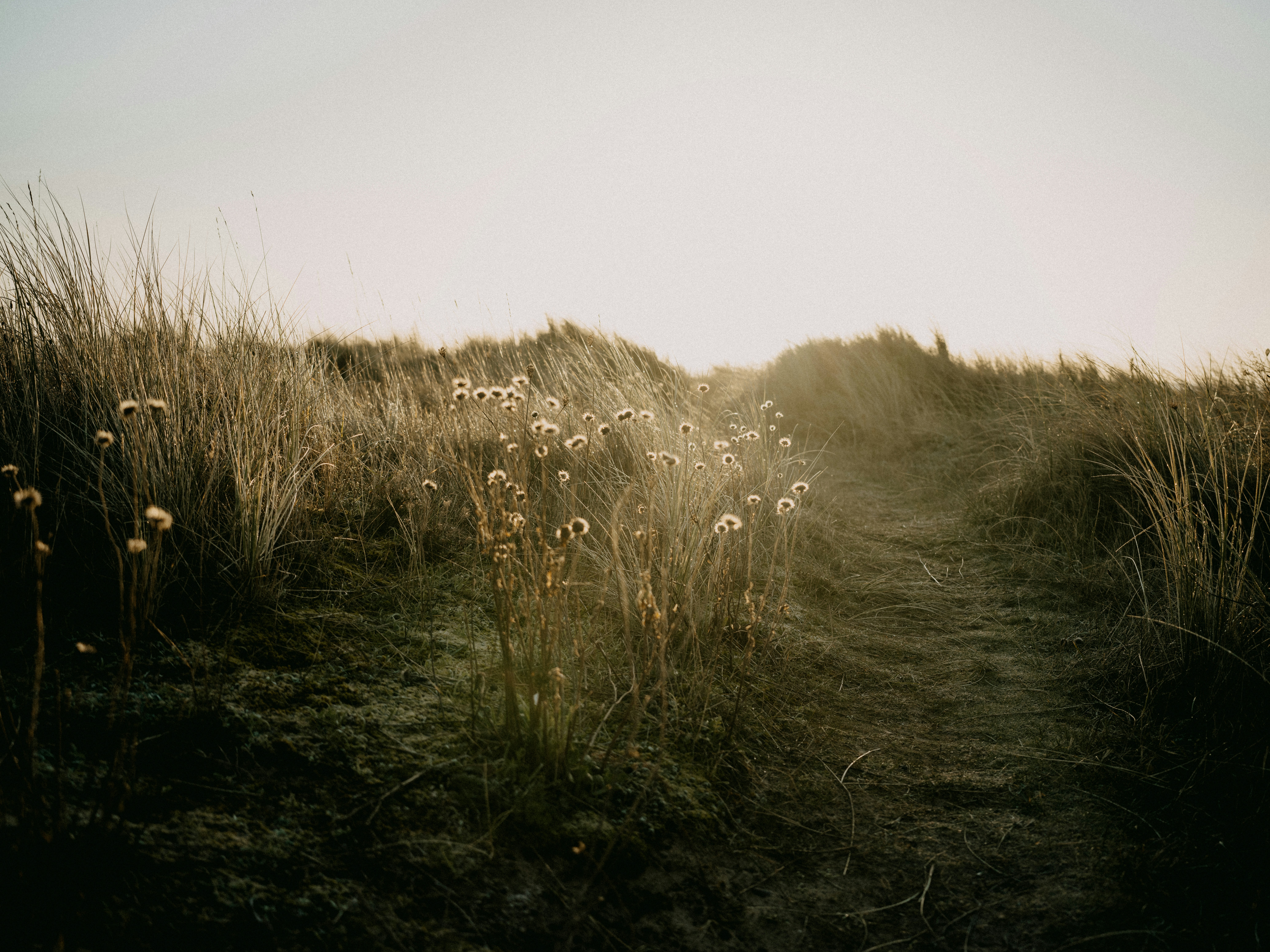 Photo by anniespratt