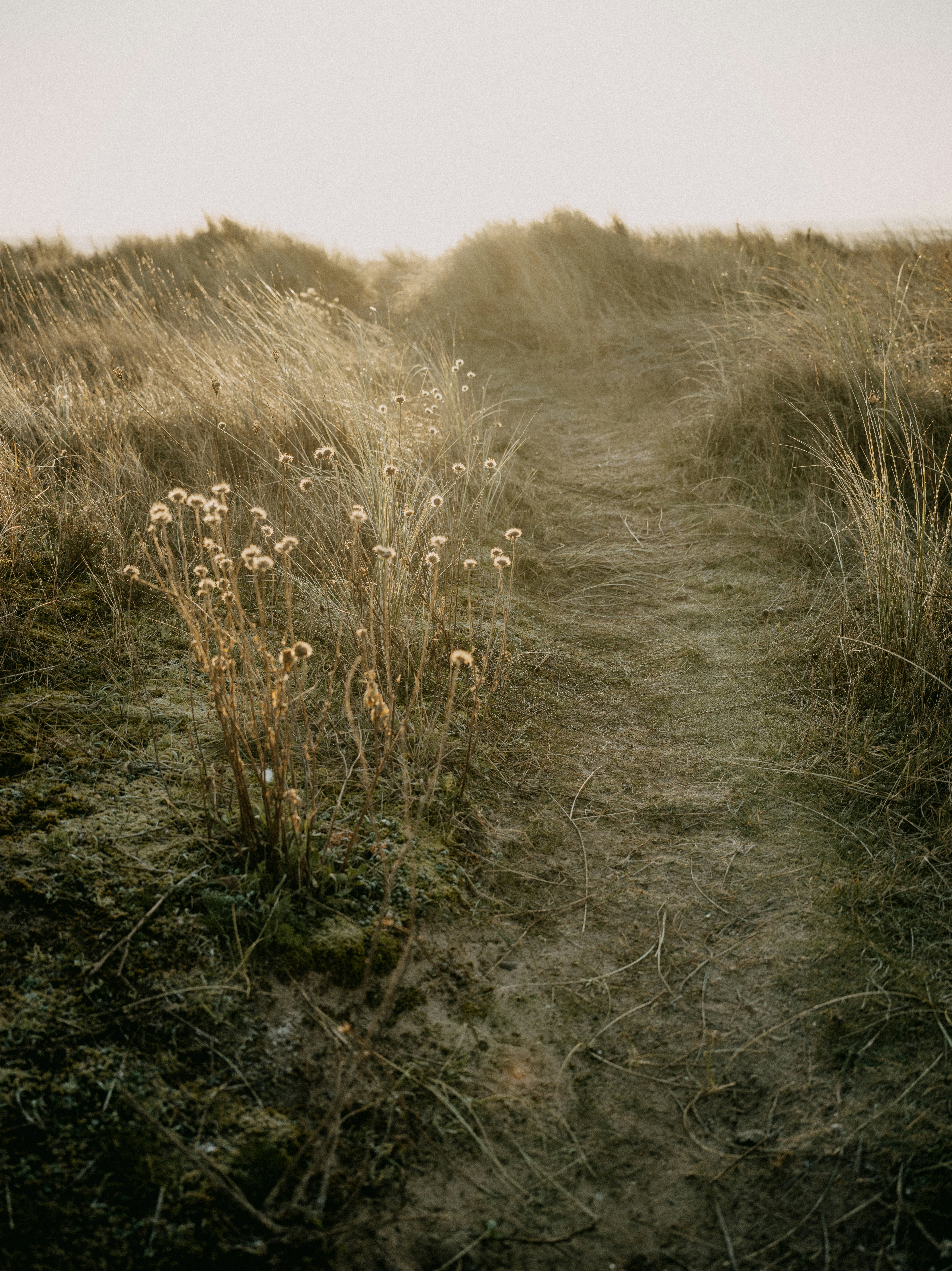 Photo by anniespratt