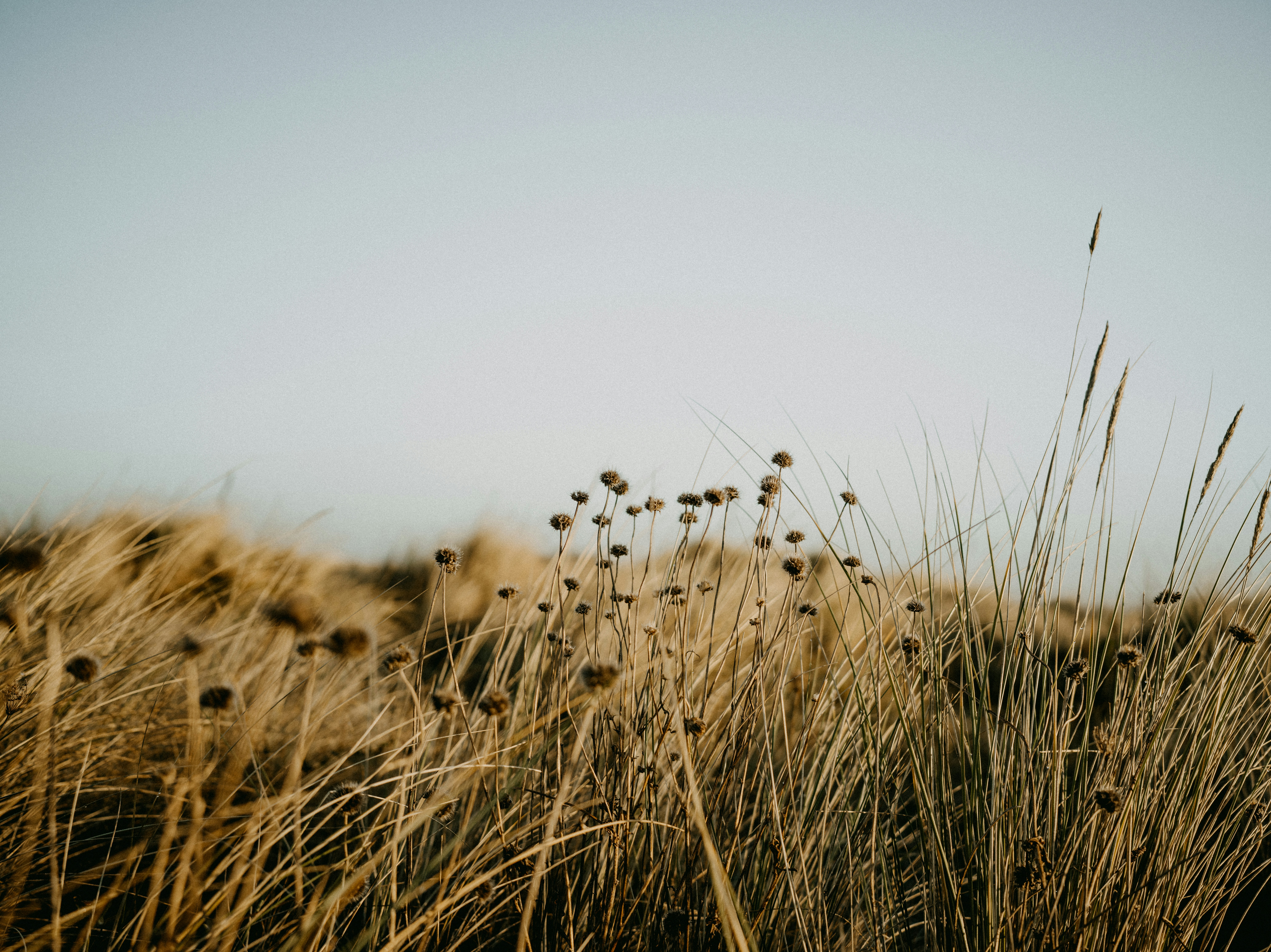 Photo by anniespratt