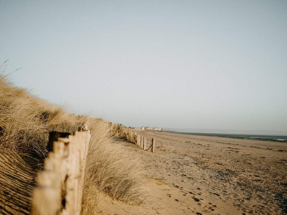 a wooden fence on a sandy beach