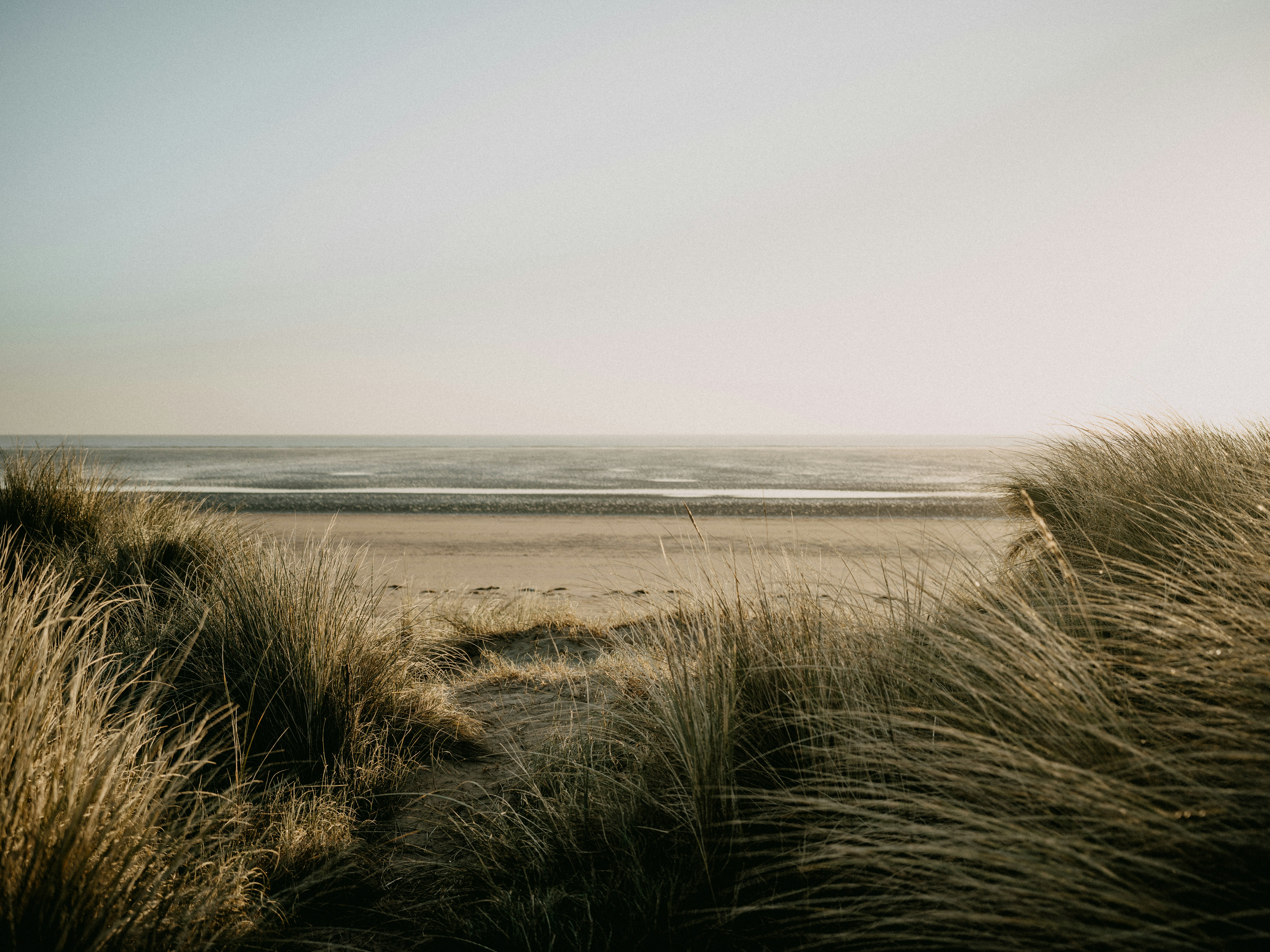 Photo by anniespratt