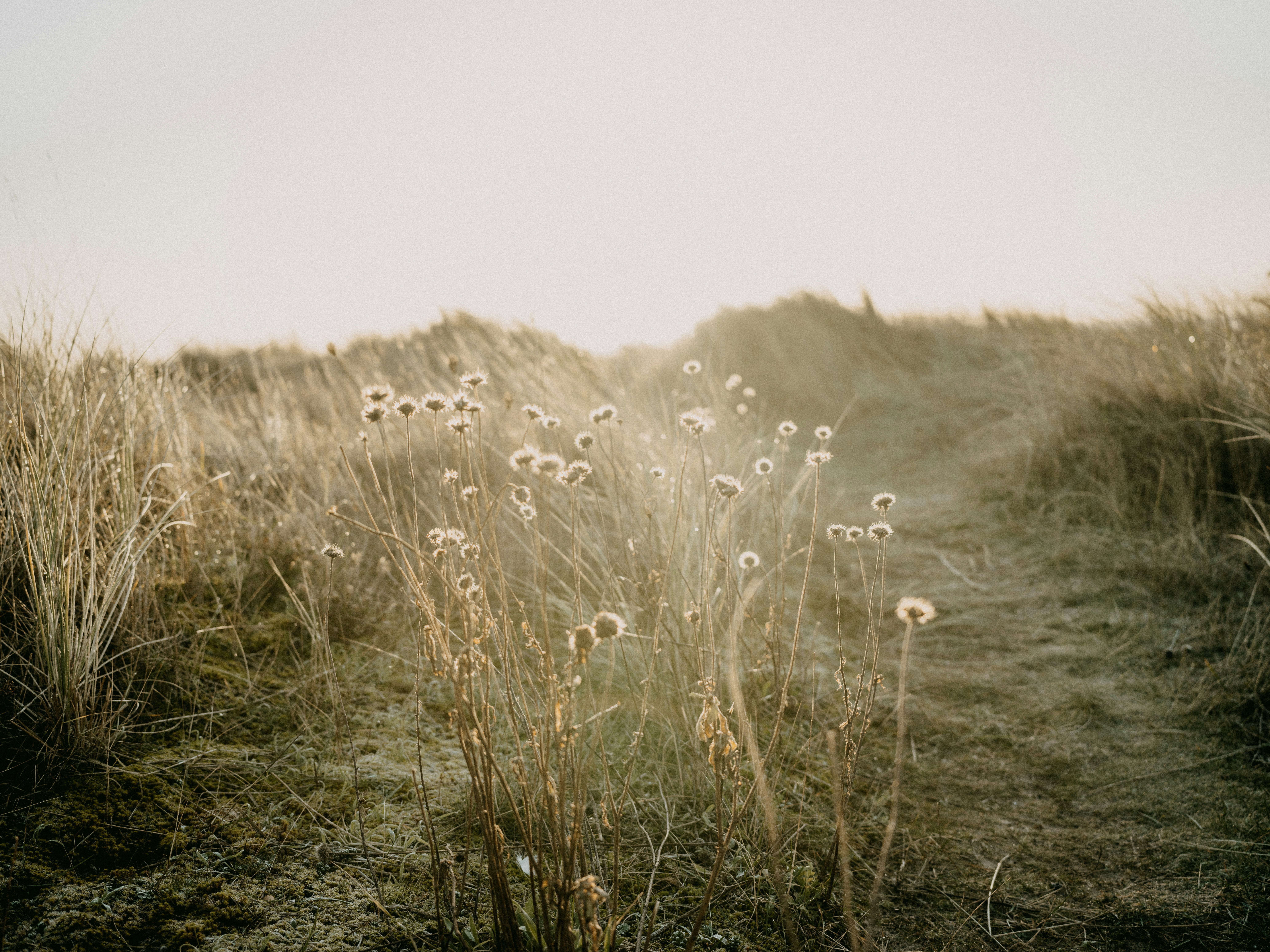 Photo by anniespratt