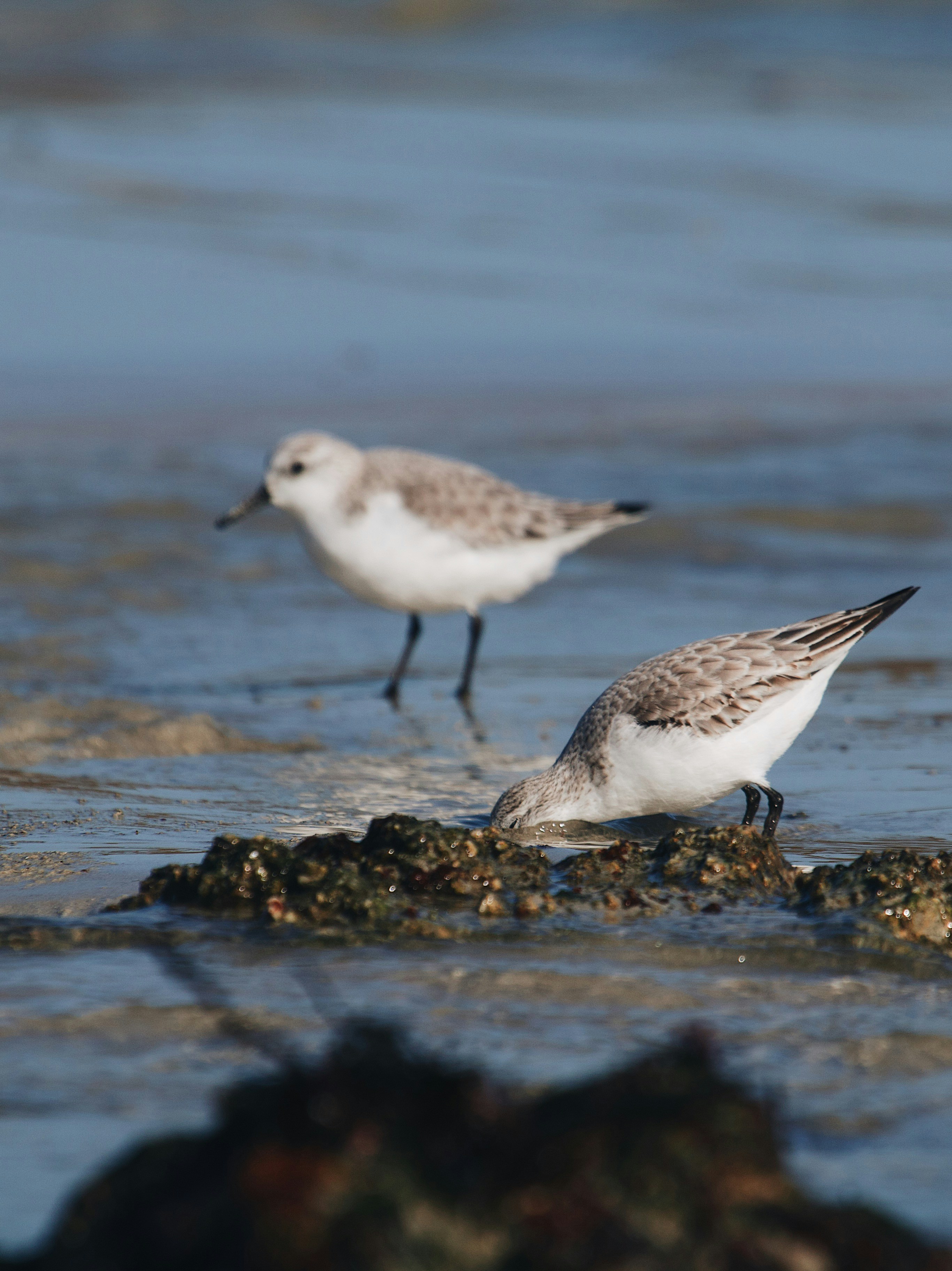 Photo by mael_balland