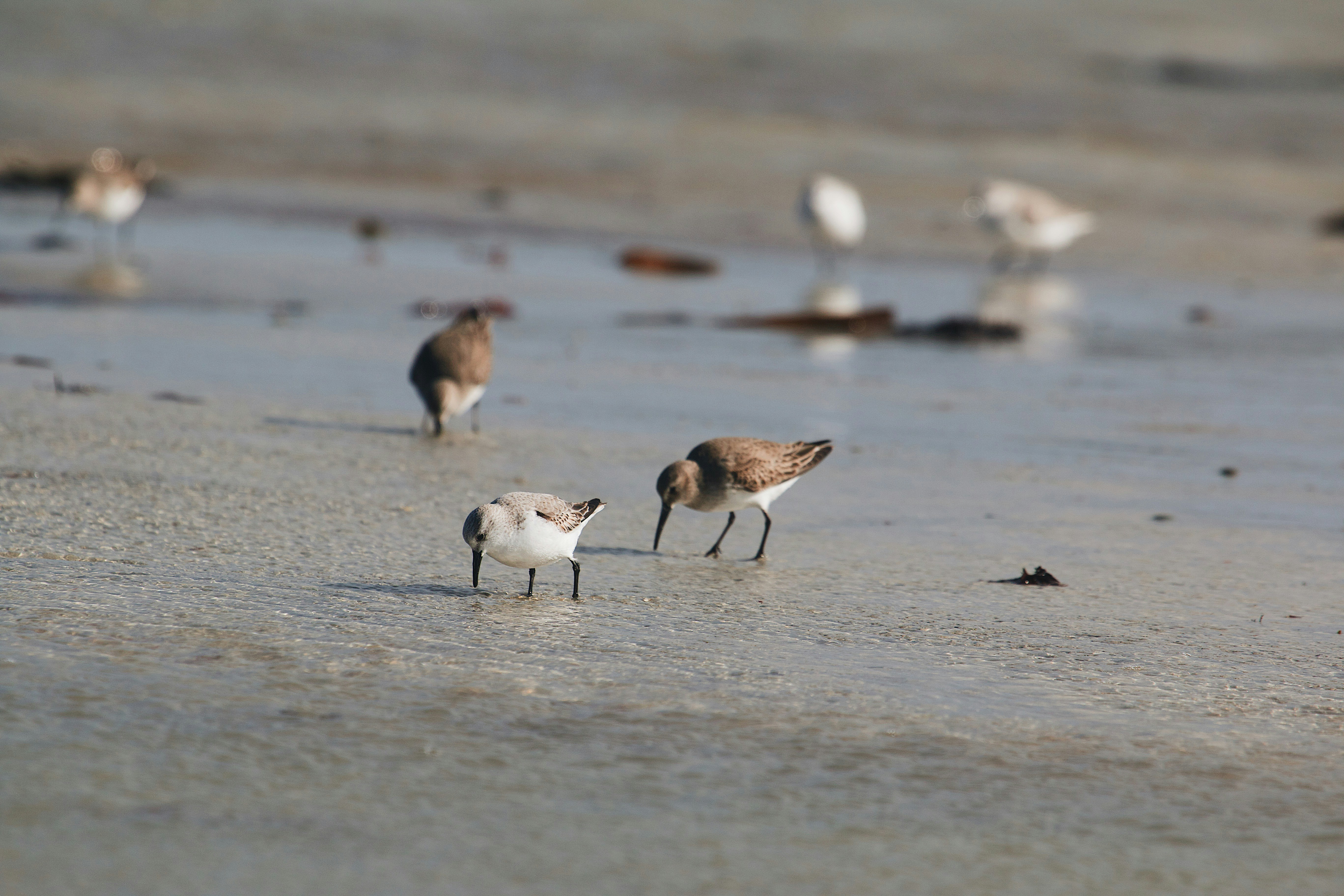 Photo by mael_balland