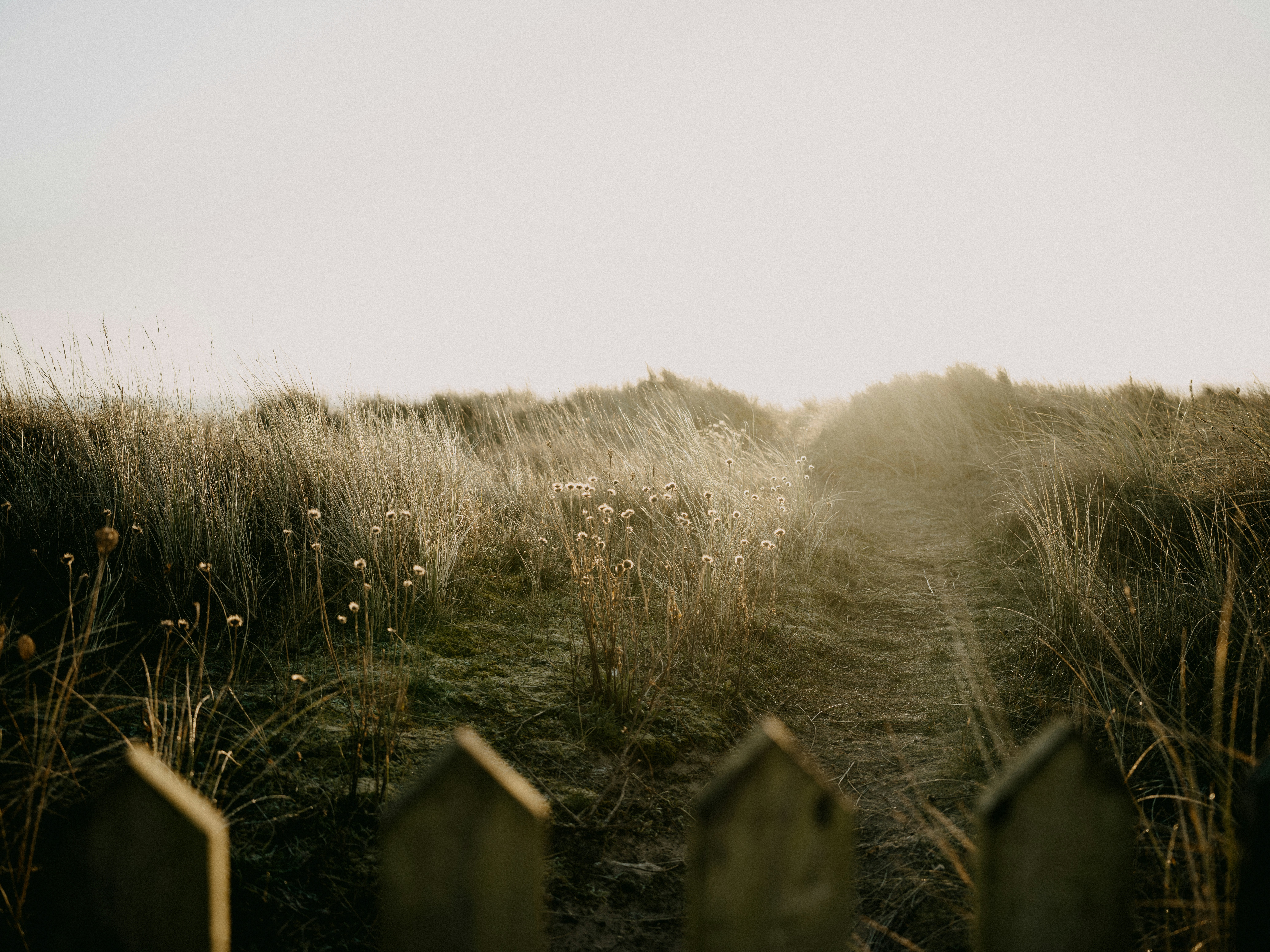 Photo by anniespratt