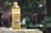 A plastic bottle filled with cooking oil is placed outdoors on a stone or concrete surface. The label on the bottle reads 'HEMART', with additional text. The background consists of out-of-focus greenery, including leaves and possibly tree trunks.