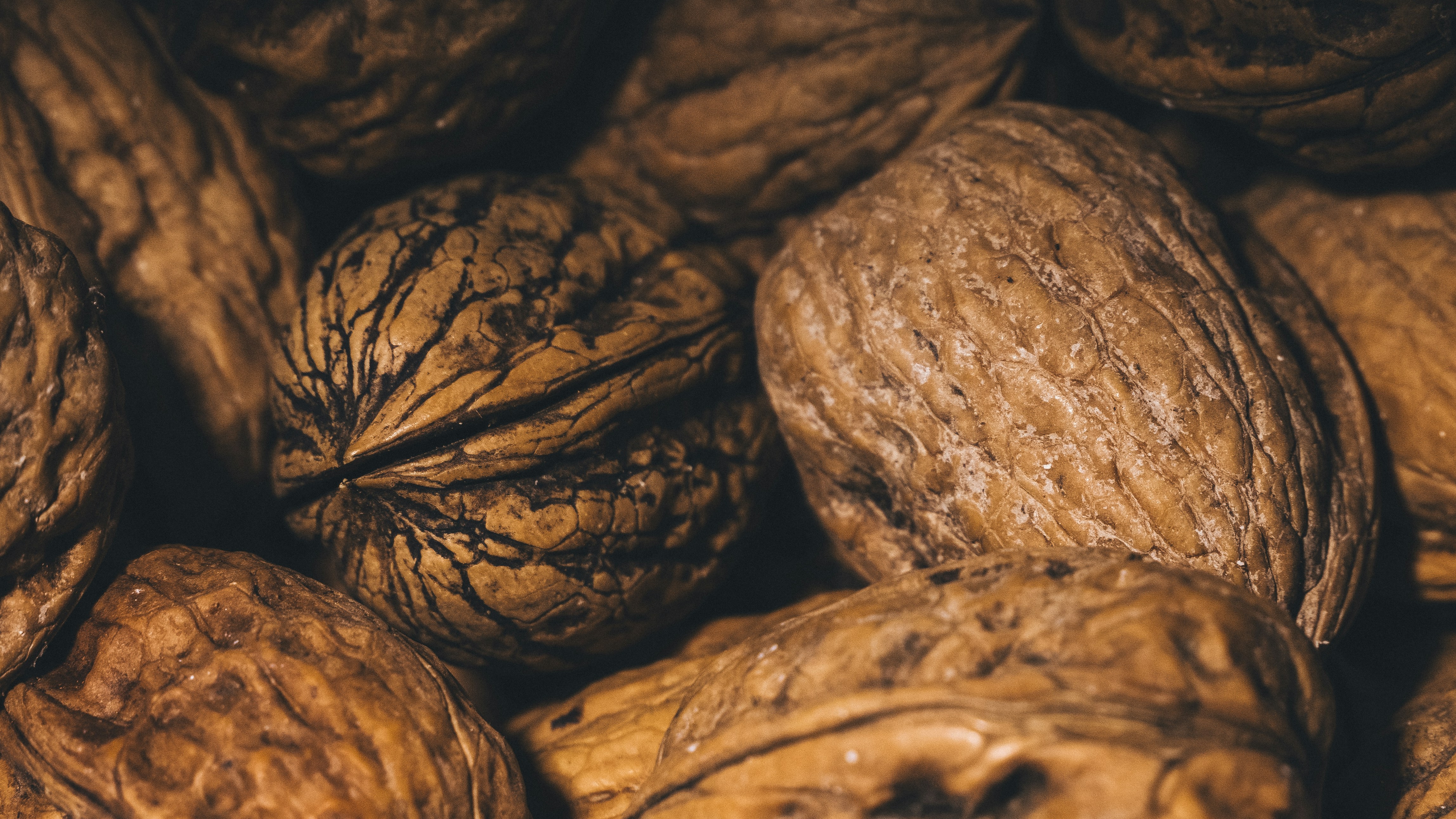 Photo by abphoto_dot_it