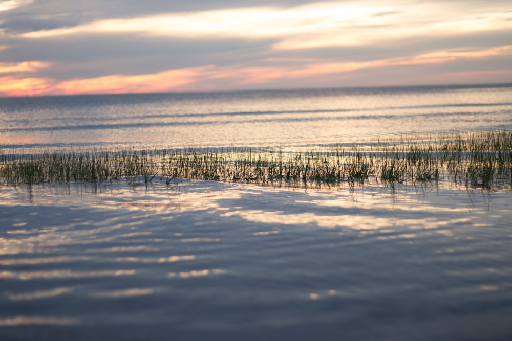 a view of the ocean from the beach at sunset