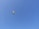 A bright yellow and black paraglider is flying against a clear blue sky. The parachute is slightly tilted, and no other objects are visible in the expansive sky.