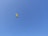 A bright yellow and black paraglider is flying against a clear blue sky. The parachute is slightly tilted, and no other objects are visible in the expansive sky.