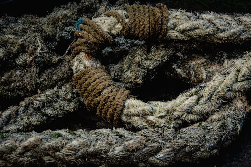a close up of a rope on the ground