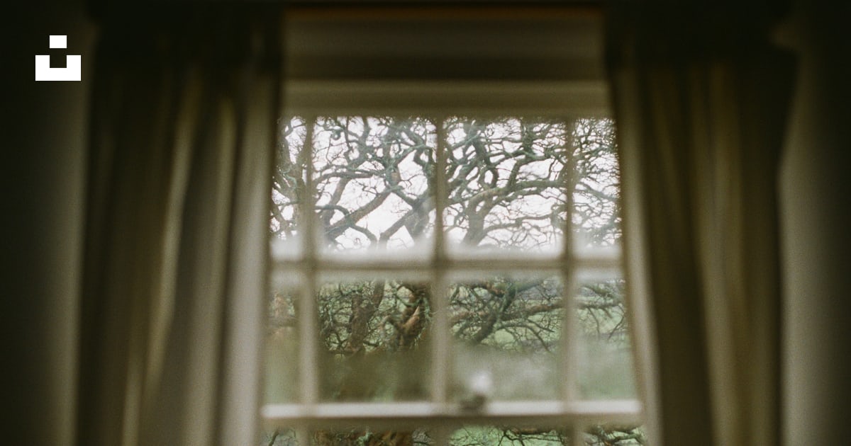 A view looking out of a window photo – Free Cumbria Image on Unsplash