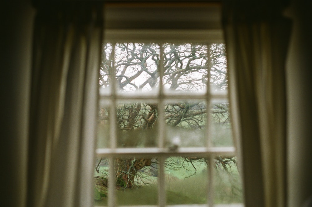 a view looking out of a window