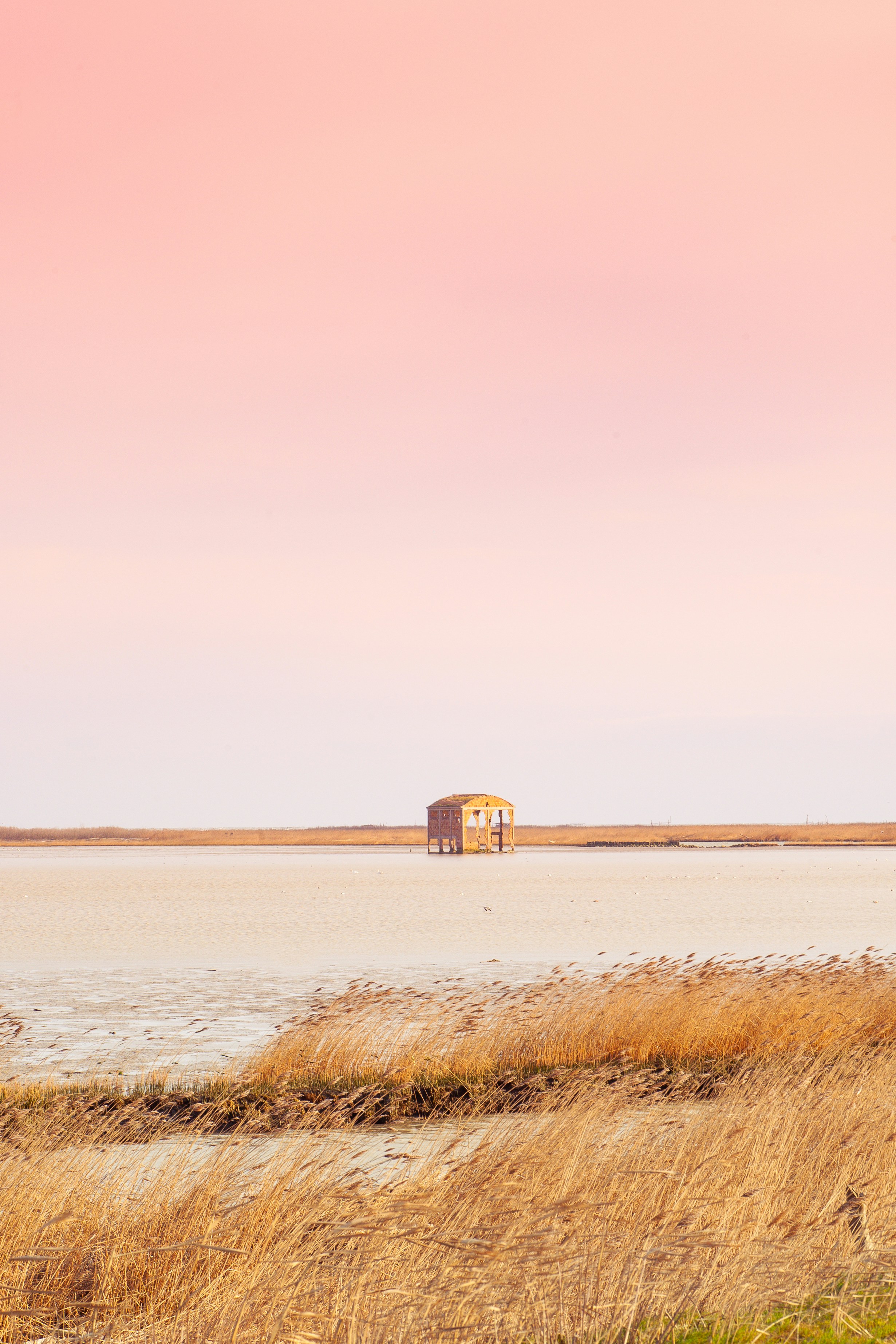 gray computer monitor