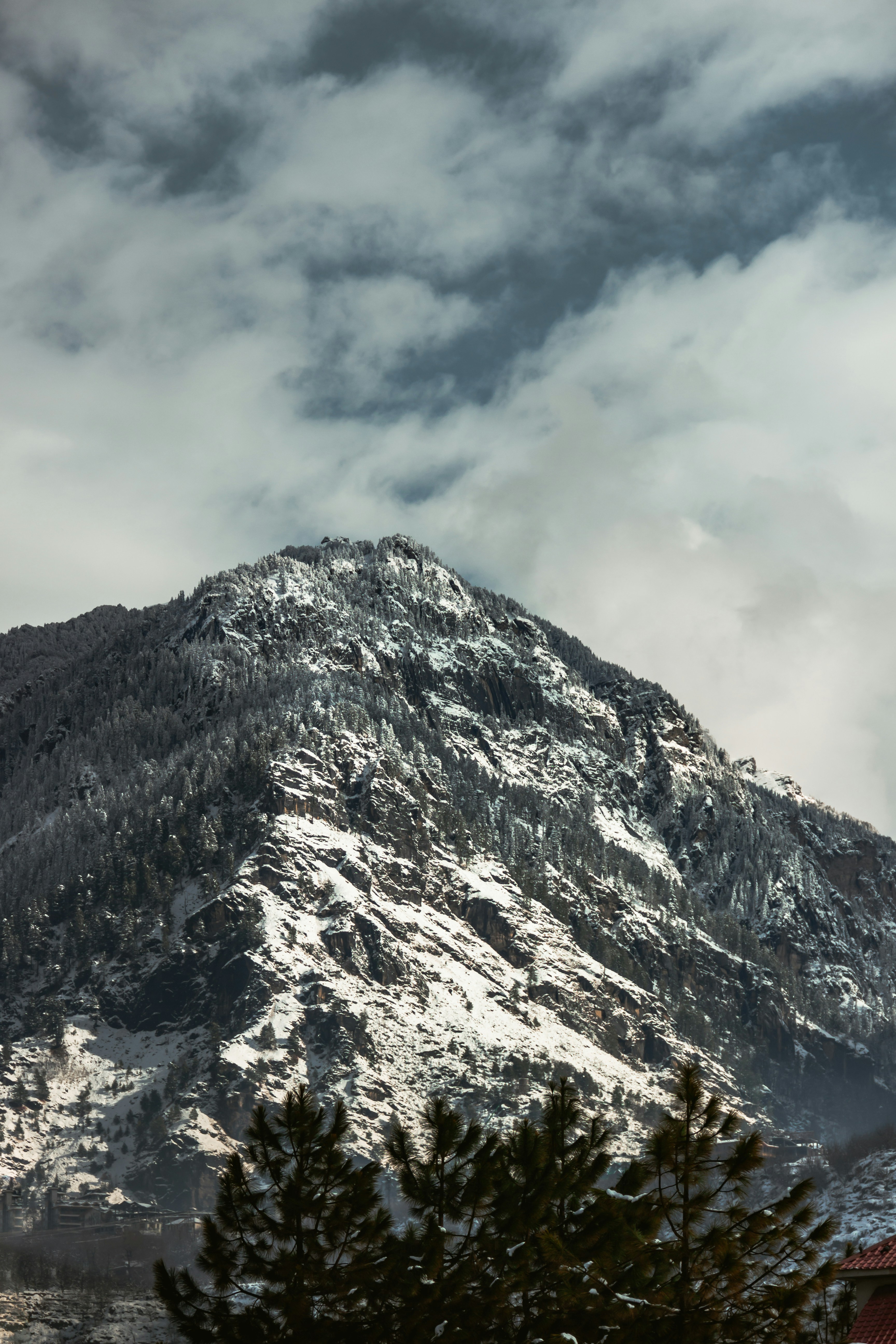 Photo by shawnthesheep512