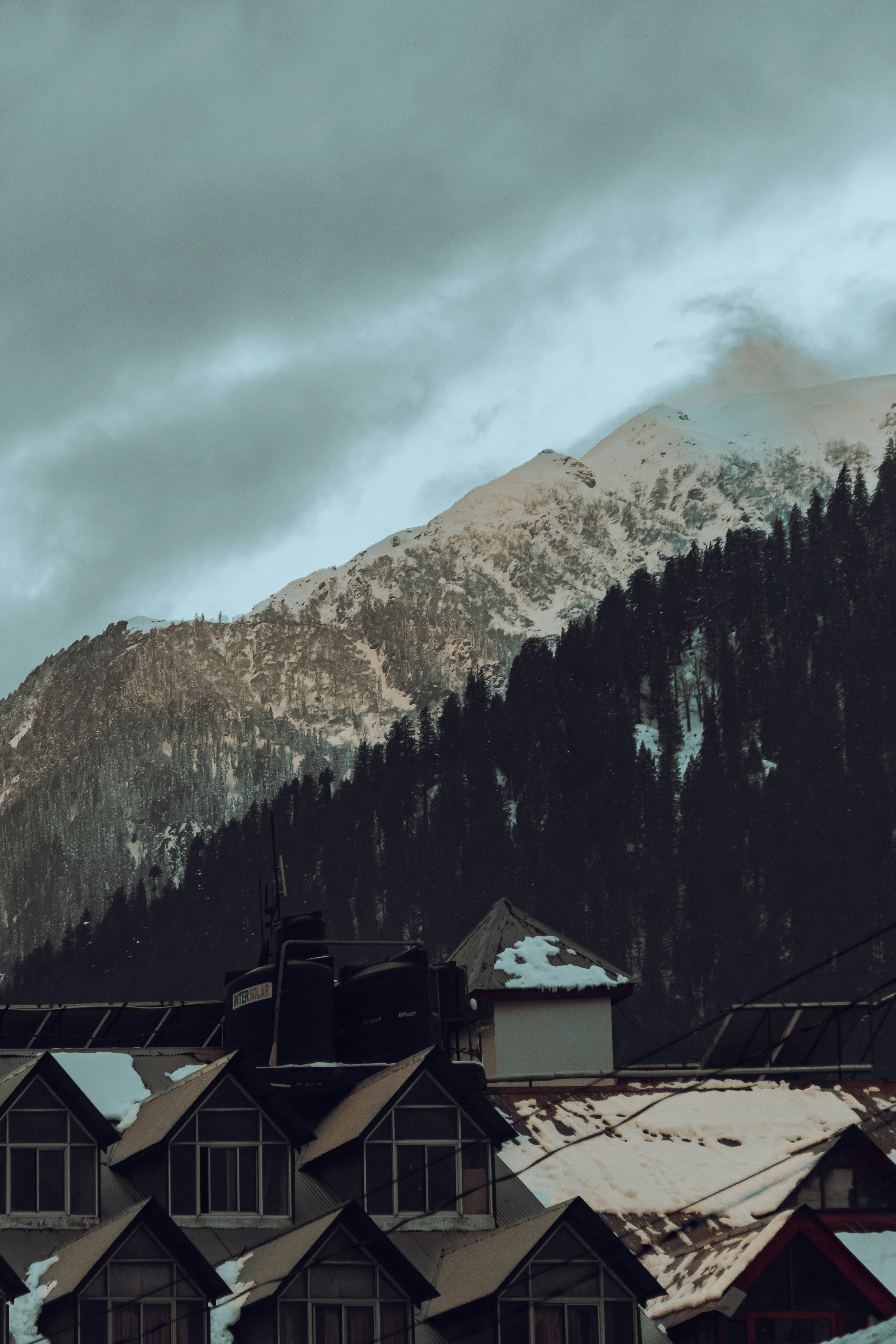 Photo by shawnthesheep512