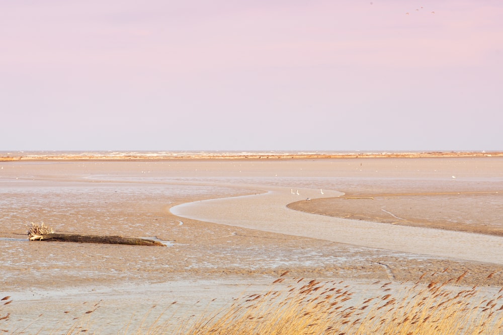 a dirt road in the middle of a desert